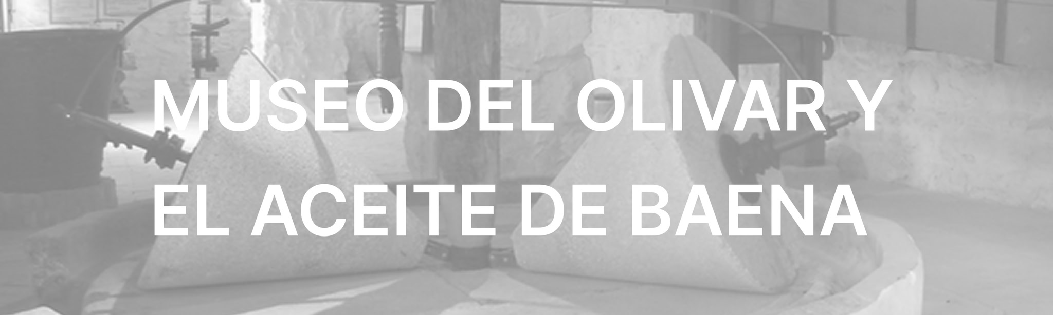 Baena Olive Grove and Oil Museum VR