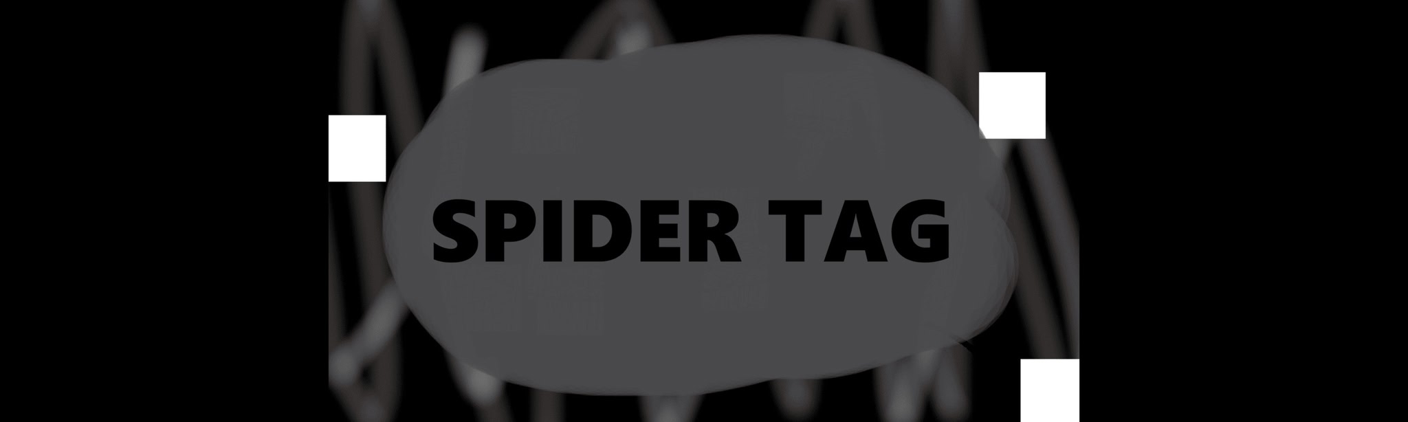 Spider Tag