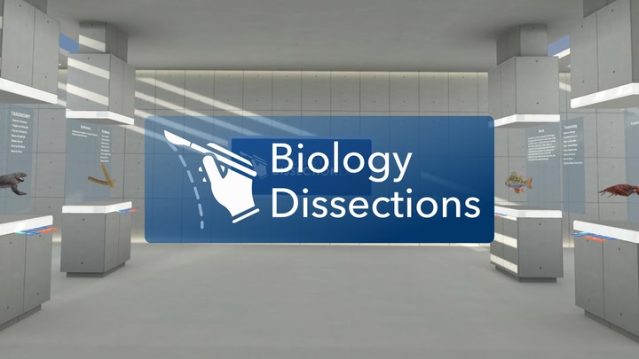 Biology Dissections