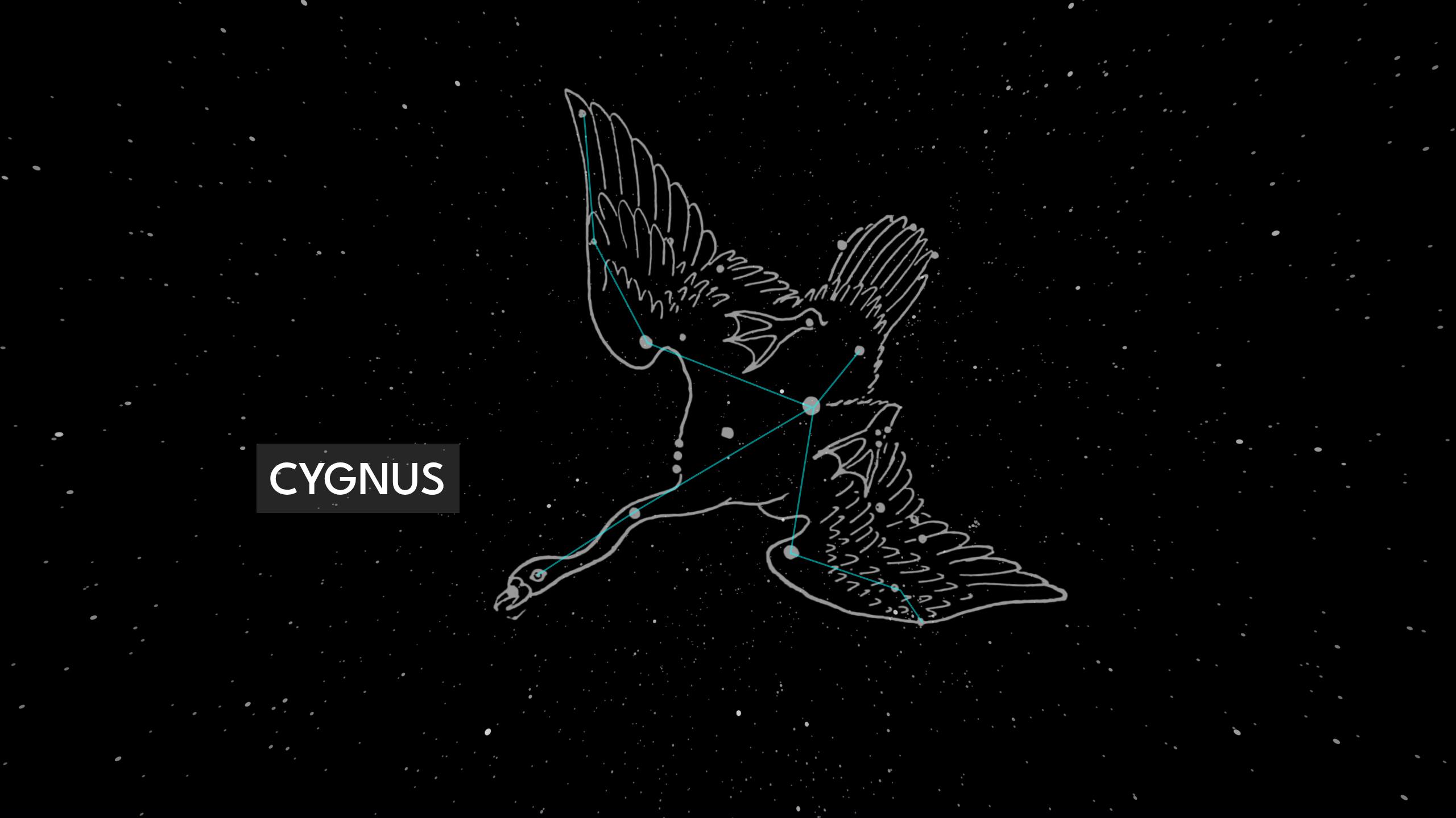 {"height":1440,"type":"image","width":2560}