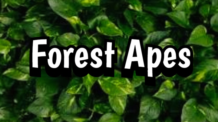 Forest Apes: Exploration