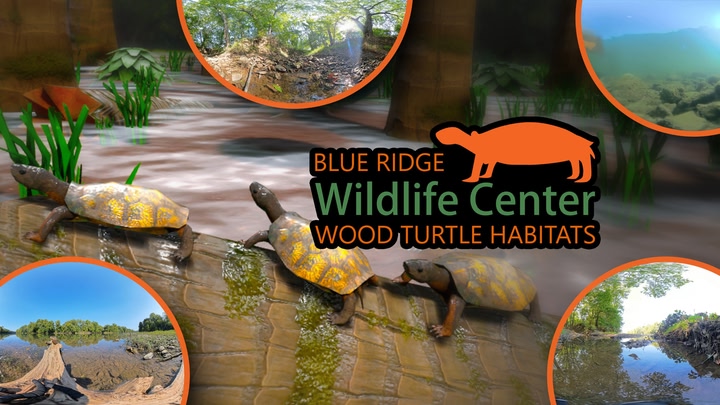 BRWC: Wood Turtle Habitats