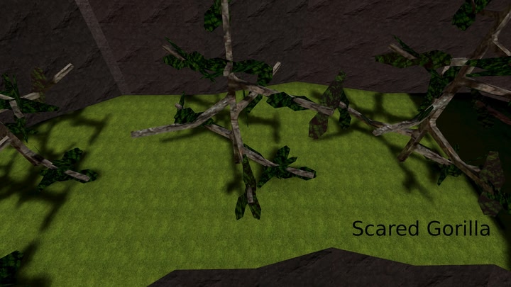 Scared Gorilla