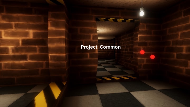 Project Common
