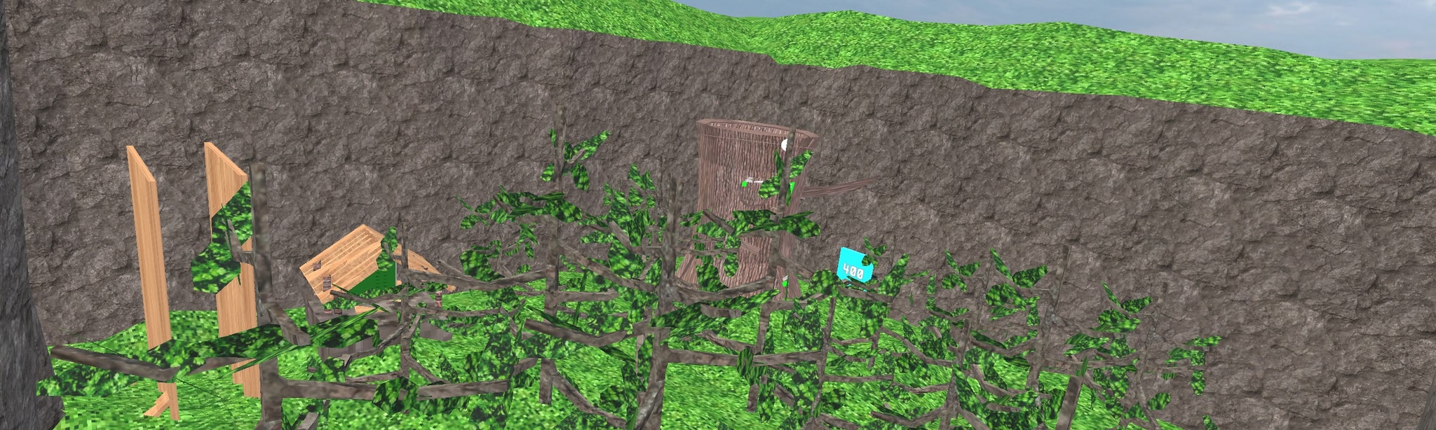 C Taggers VR