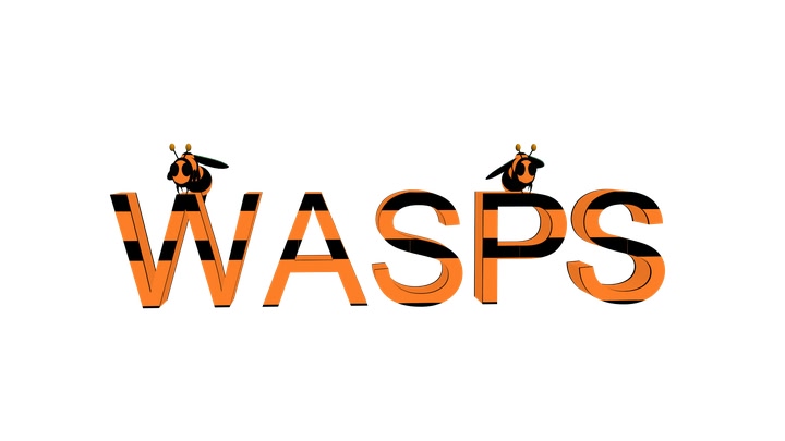 wasps