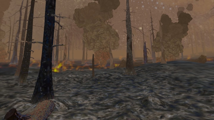 Forest Fire Regrowth