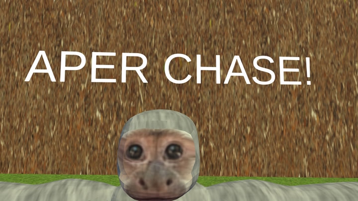 Aper chase