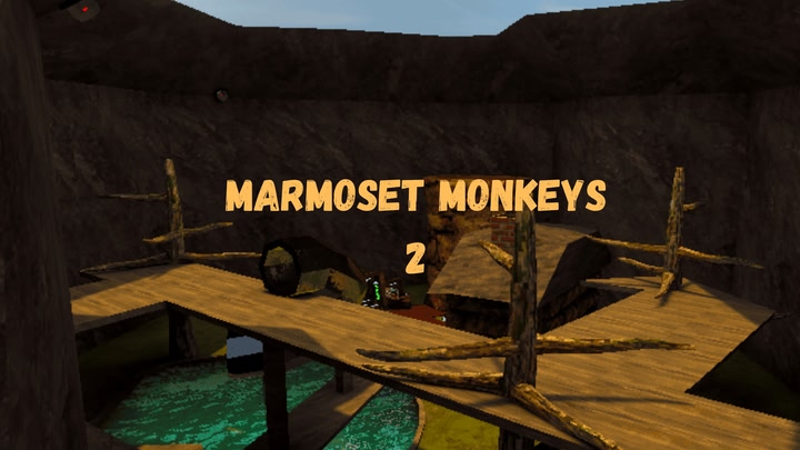 Marmoset Monkeys 2