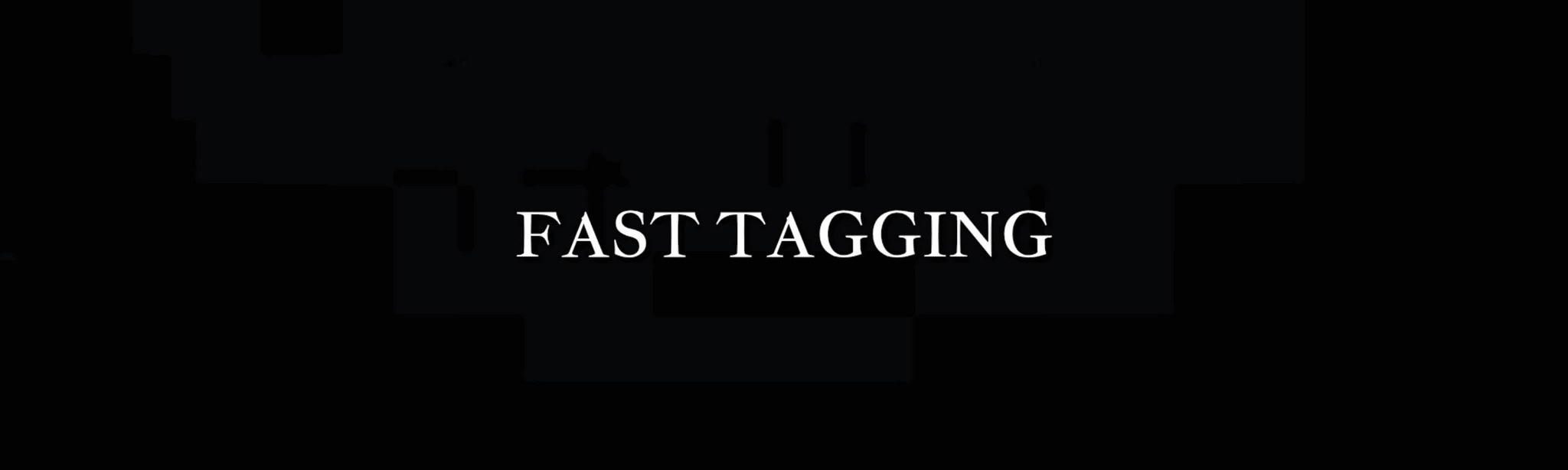Fast Tagging