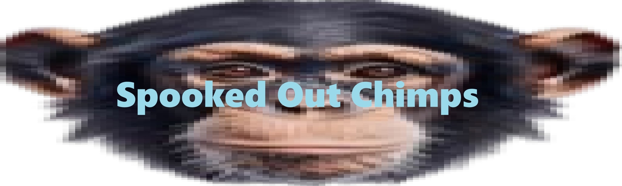 Spooked Out Chimps