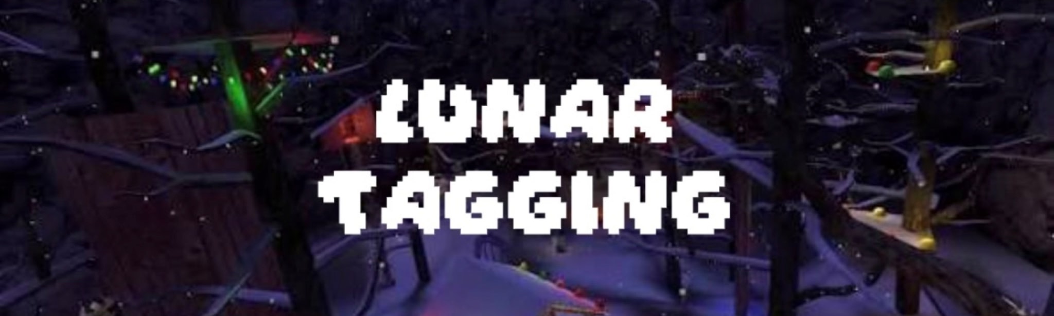 Lunar Tagging