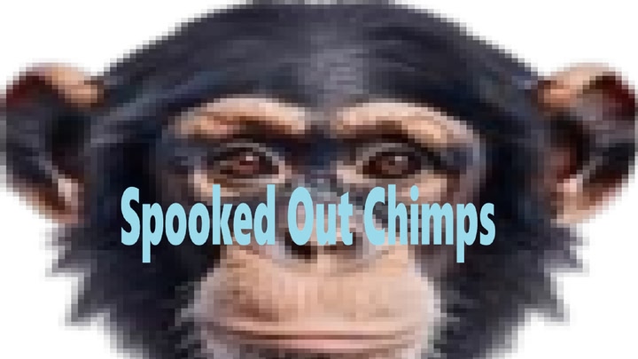 Spooked Out Chimps
