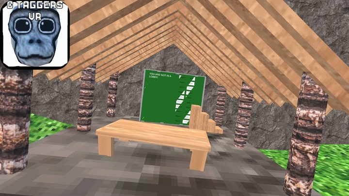 C Taggers VR