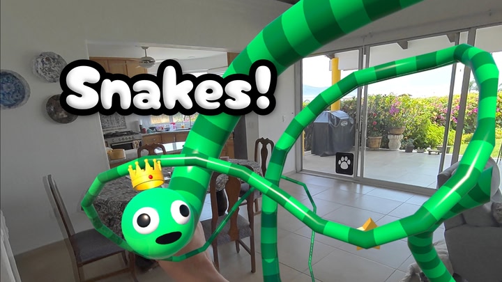 Snakes!