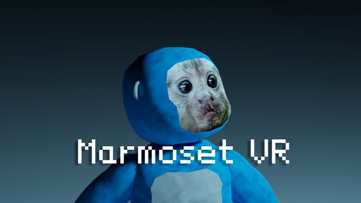 Marmoset VR