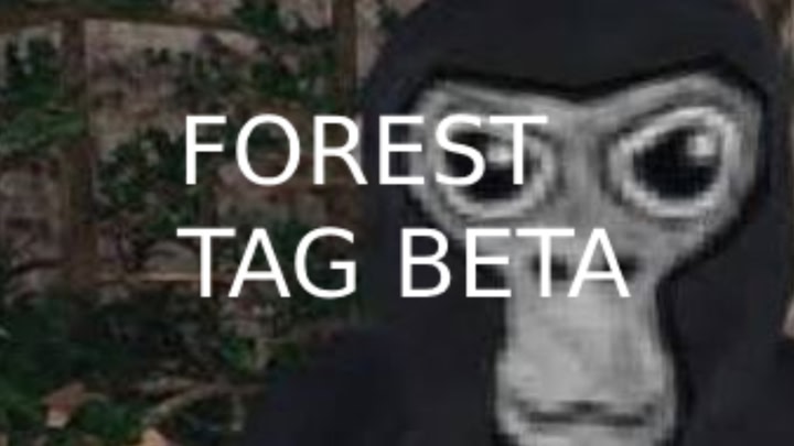 Forest Tag beta