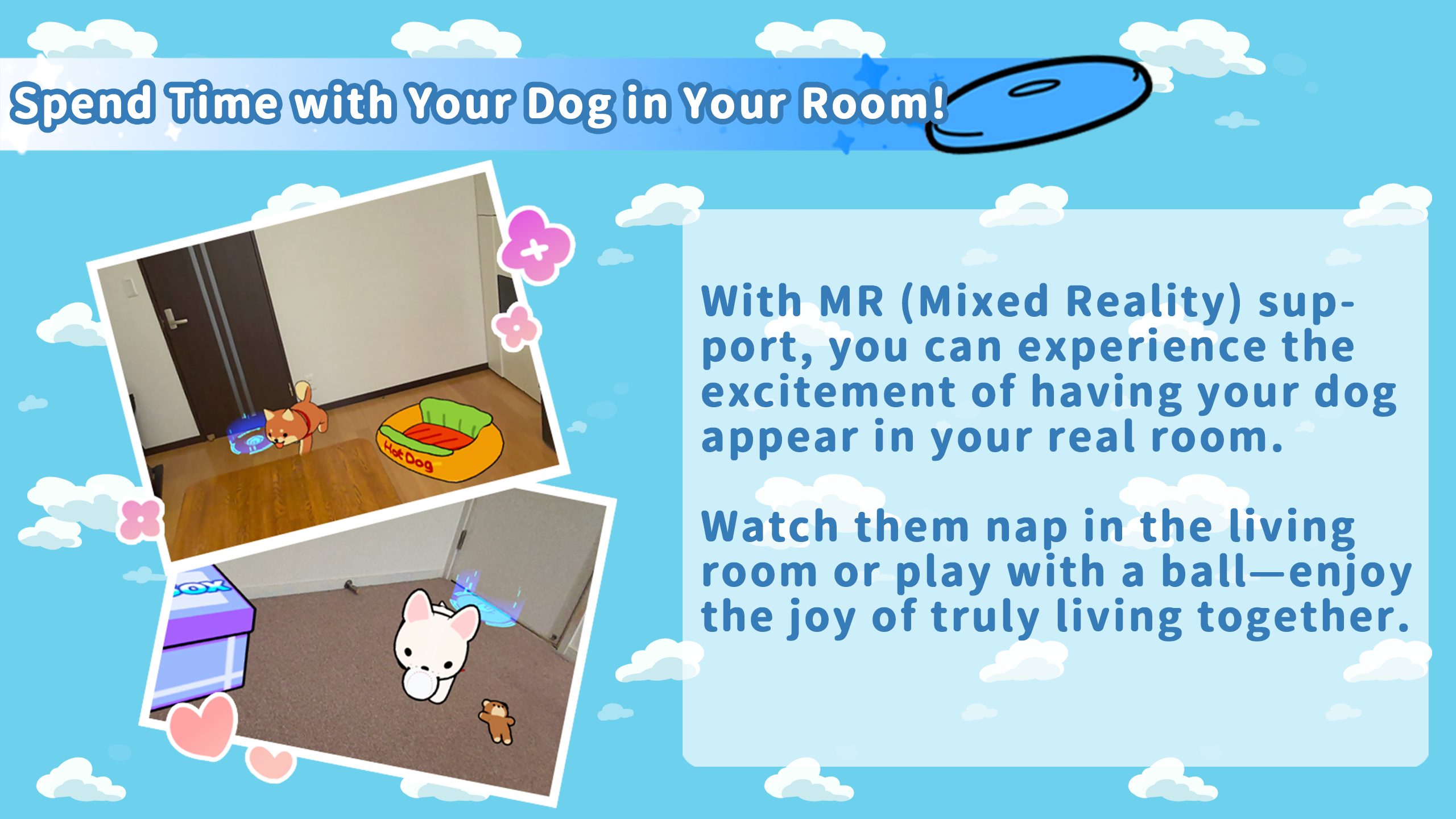 {"height":1440,"type":"image","width":2560}