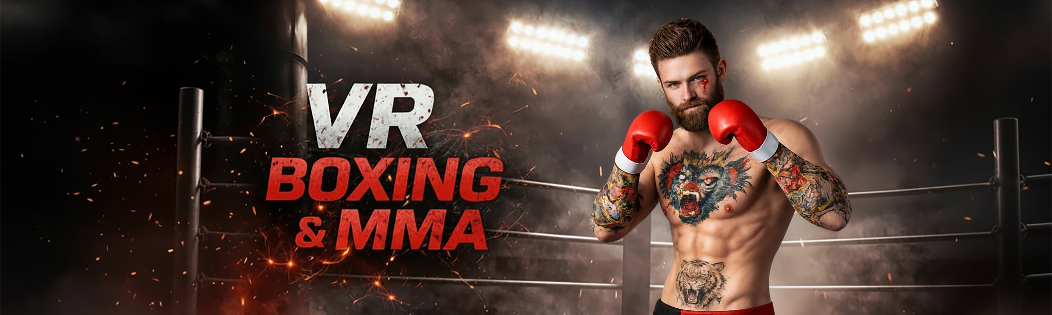 VR Boxing And MMA