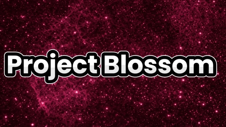 Project Blossom