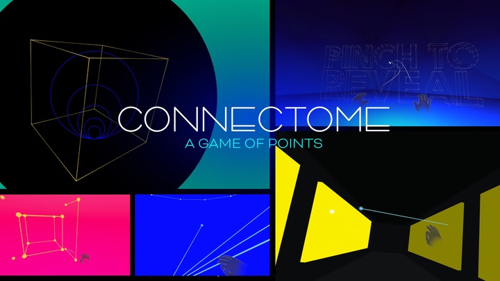 CONNECTOME