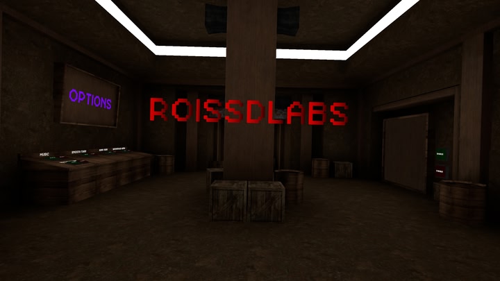 RoissdLabs
