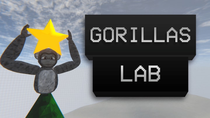 Gorillas-Lab