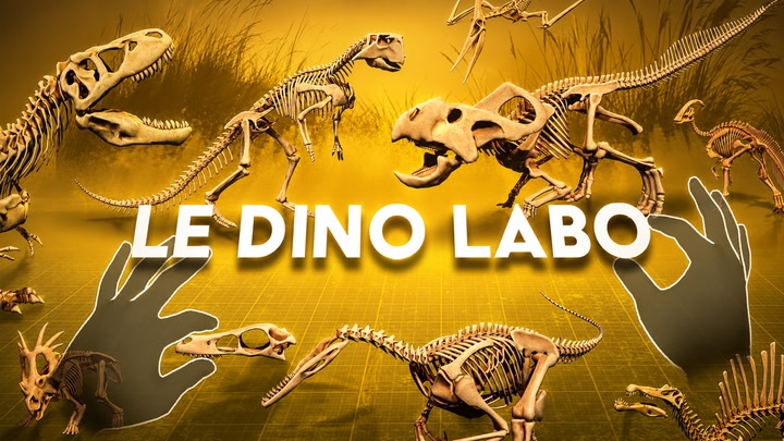 Le Dino Labo