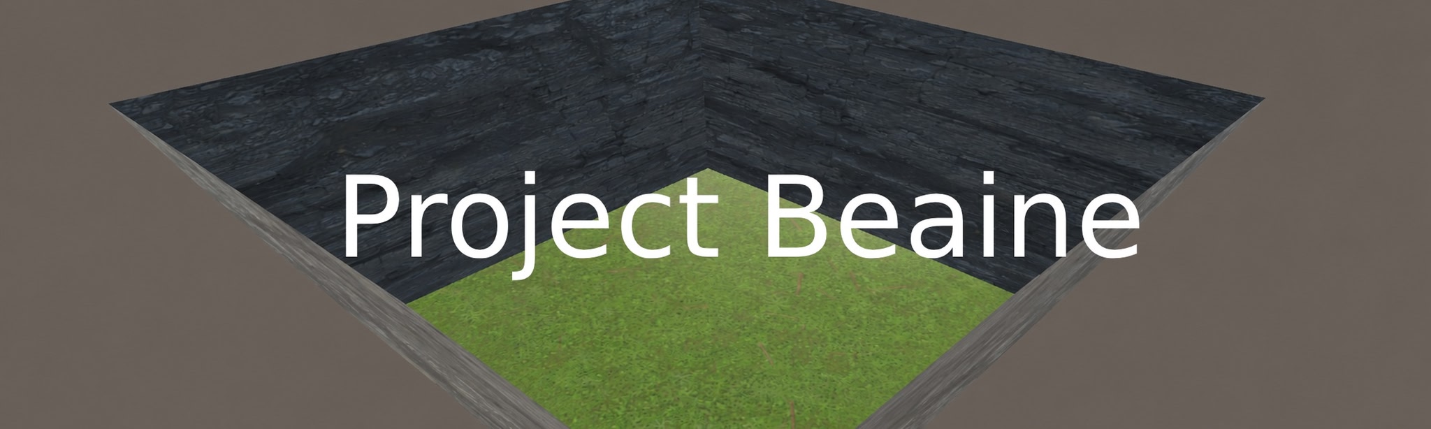 Project Beanie