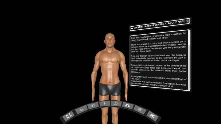 DeepAnatomy VR
