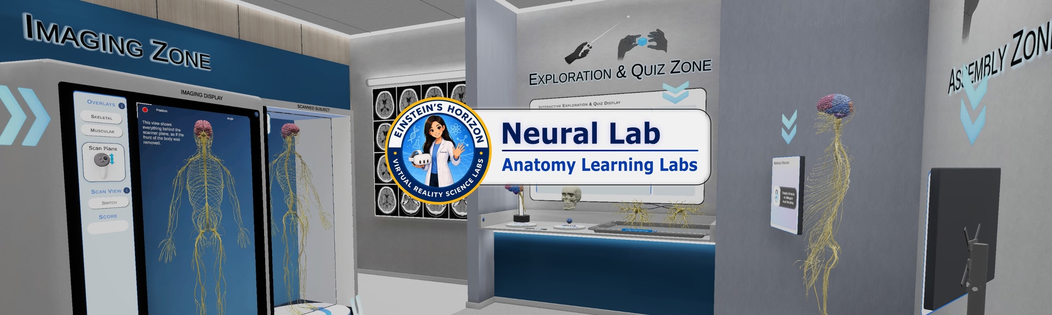 Anatomy Learning Labs: Neural Lab