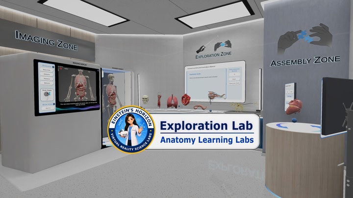 Anatomy Learning Labs: Exploration Lab
