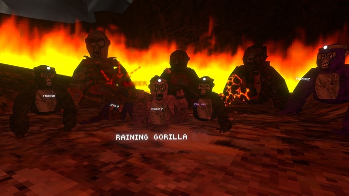 Raining Gorilla