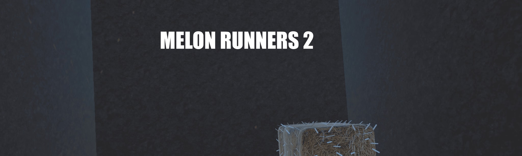 Melon Runners 2