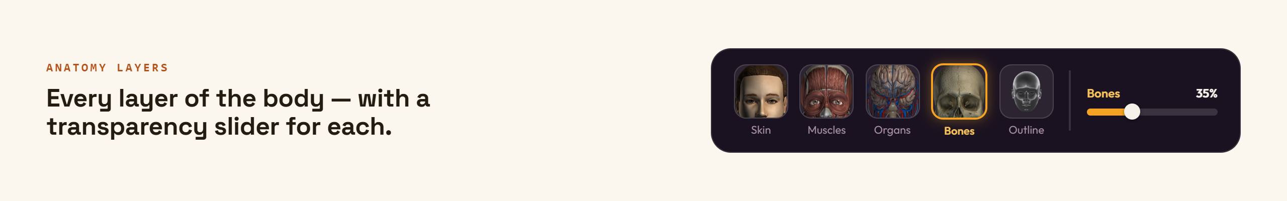 {"height":400,"type":"image","width":2560}