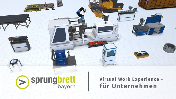 Virtual Work Experience - for companies