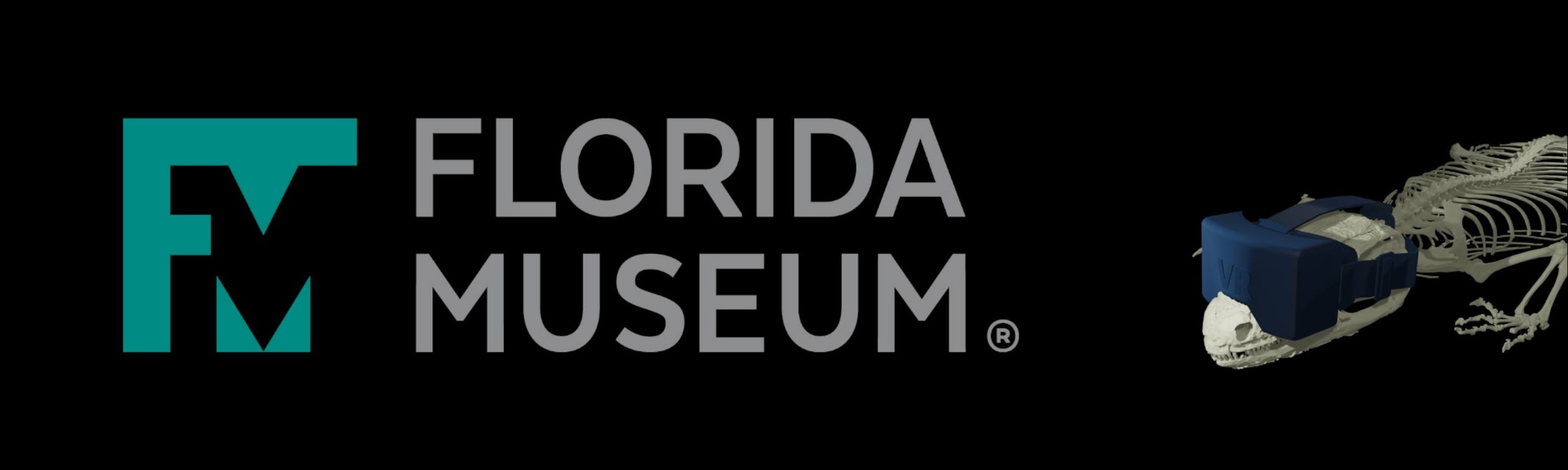 Florida Museum Alligator Collection