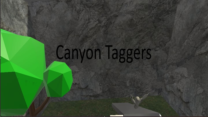 Canyon Taggers