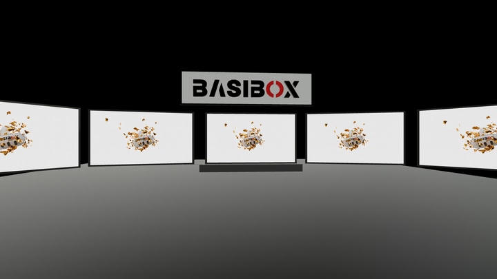 Basibox VR