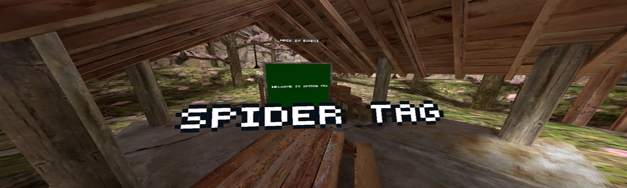 Spider tag