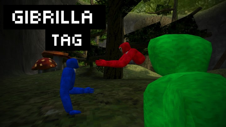 Gibrilla Tag