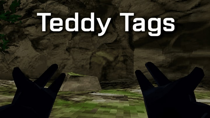 Teddy Tags