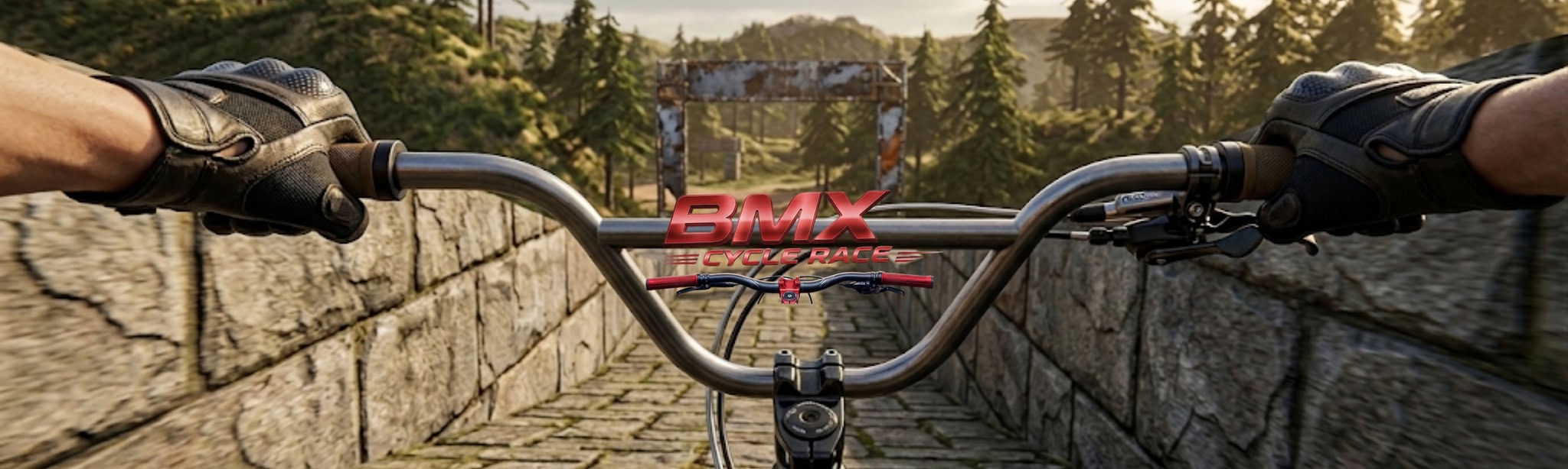 BMX Cycle Race