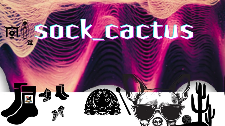 Sock Cactus — Rhythm Ritual