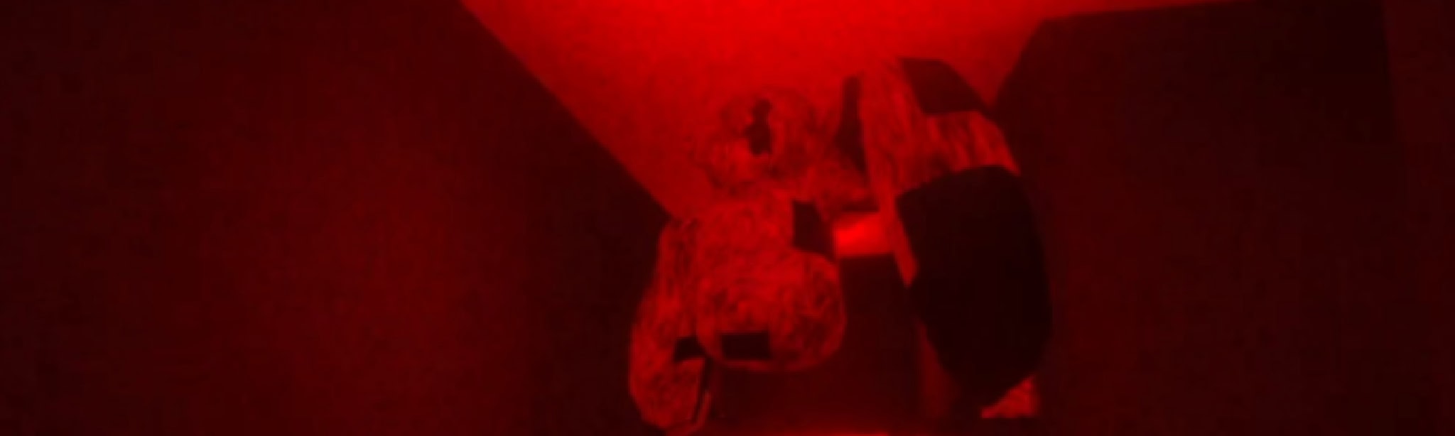 FearingMonkey