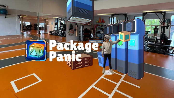 HoloMoves: Package Panic