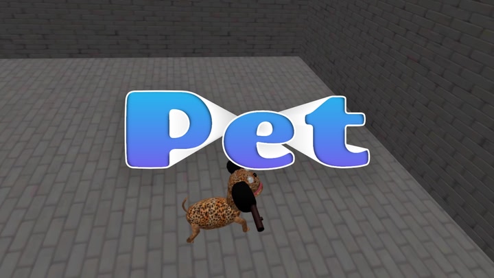 Pet