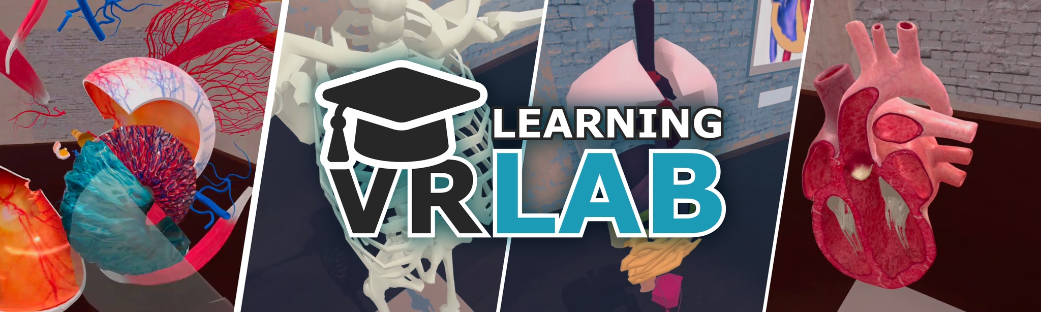 VR Anatomy Lab