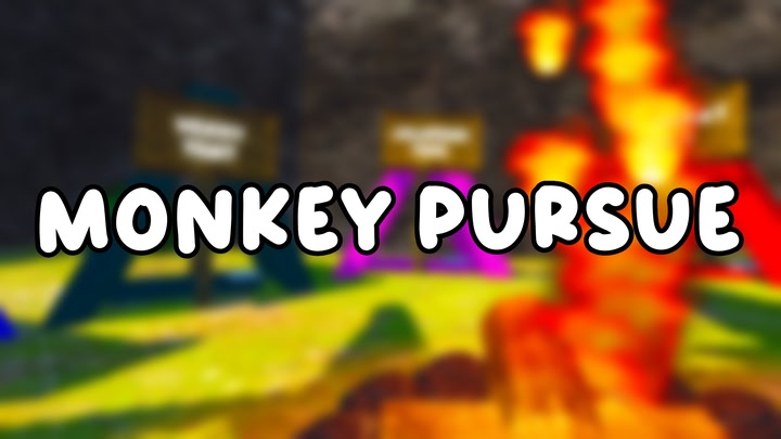 Monkey Pursuit (Discontinued)