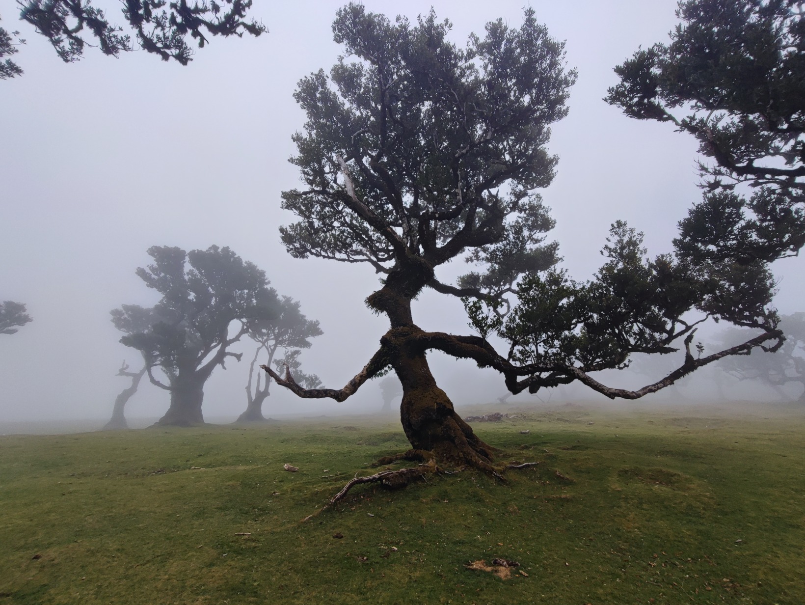 {"height":1232,"type":"image","width":1640}